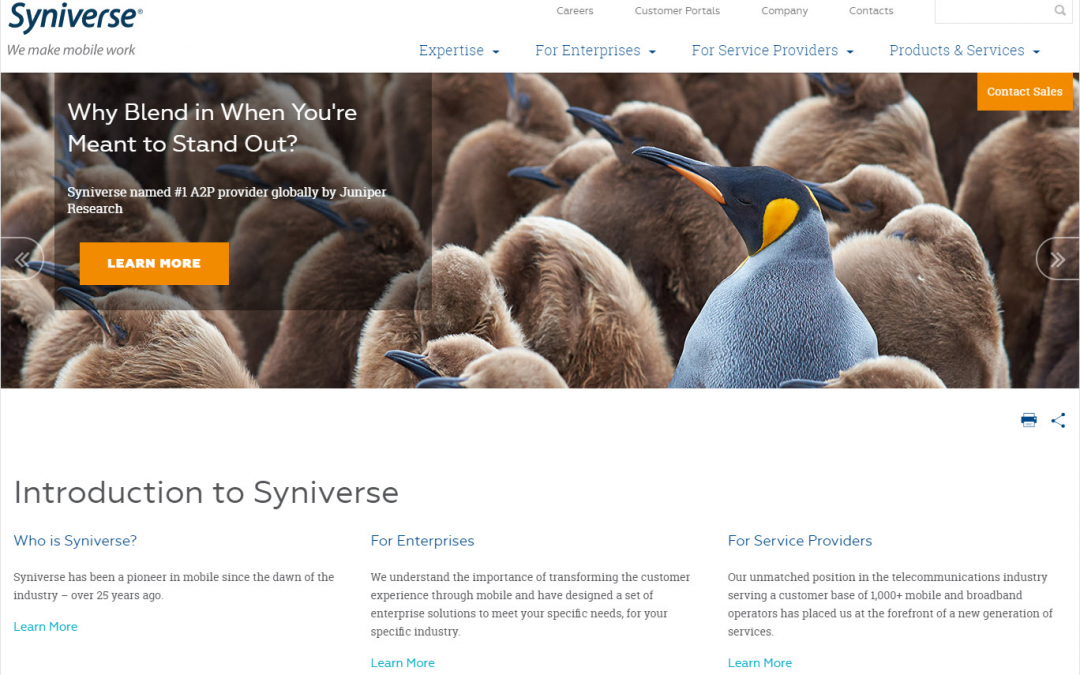 Senior Digital Marketing Specialist @ Syniverse